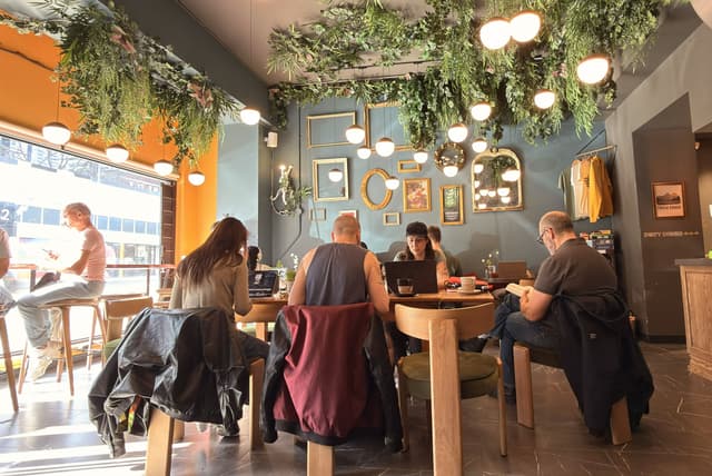 People working on laptops in a cozy cafe with hanging plants and unique decor.